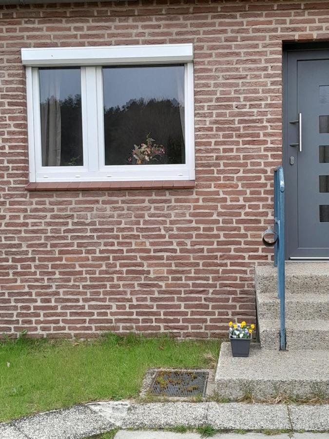 Tannenquartier - Ihr Ferienhaeuschen Apartment Gross Gronau ภายนอก รูปภาพ