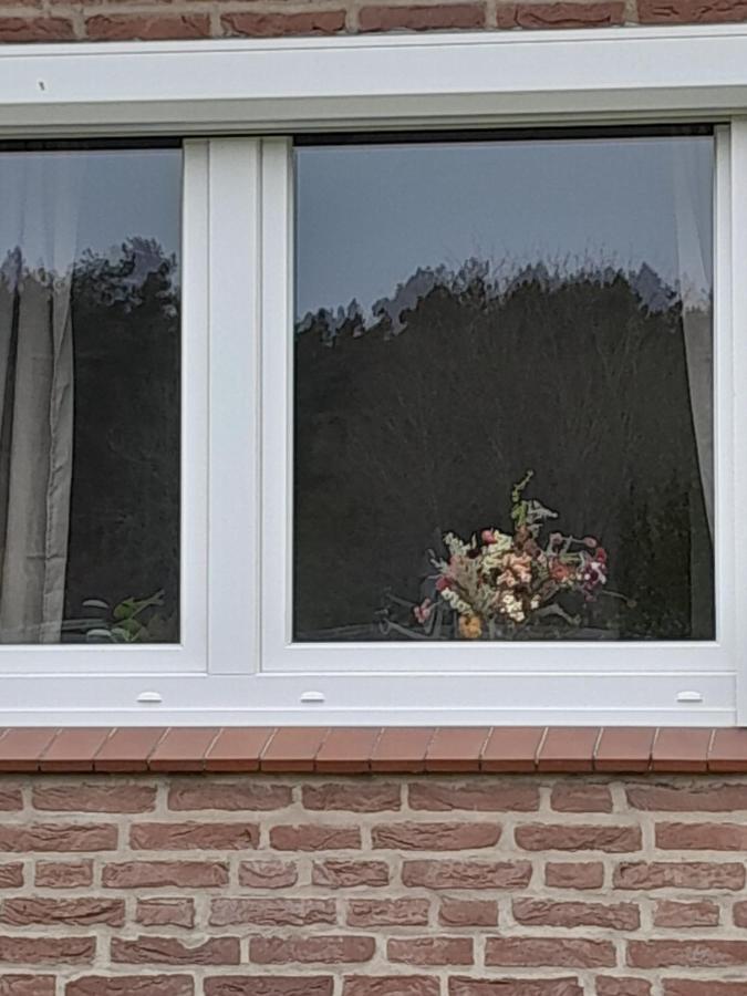 Tannenquartier - Ihr Ferienhaeuschen Apartment Gross Gronau ภายนอก รูปภาพ